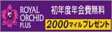 nyukai_disp1